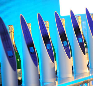 The Cornwall Business Award Trophies