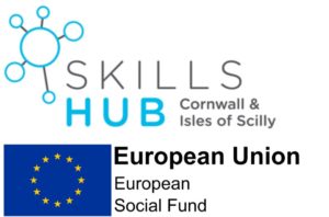 Skills Hub logo