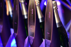 Cornwall Business Awards trophies close up